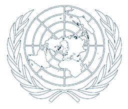 UN Millenium Fellowship