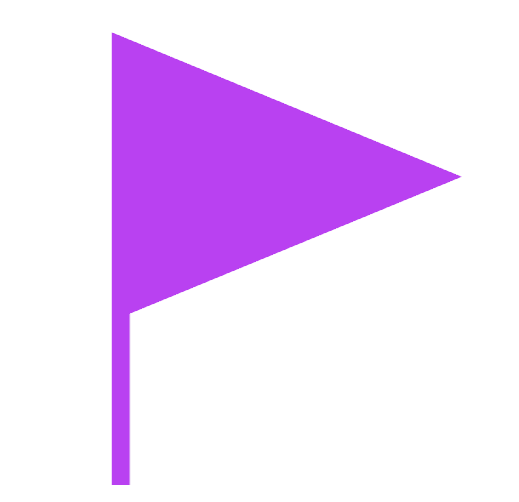 flag icon