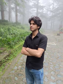 Mr. Suryansh Arya's portrait