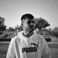 Mr. Swapnil A's portrait
